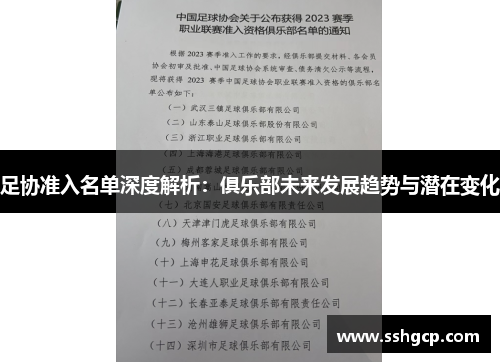 足协准入名单深度解析：俱乐部未来发展趋势与潜在变化